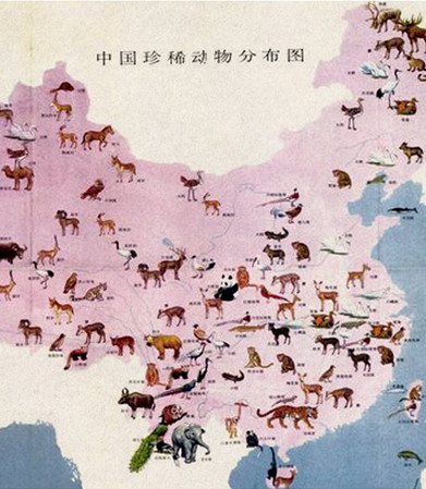 中国濒危动物分布图图片